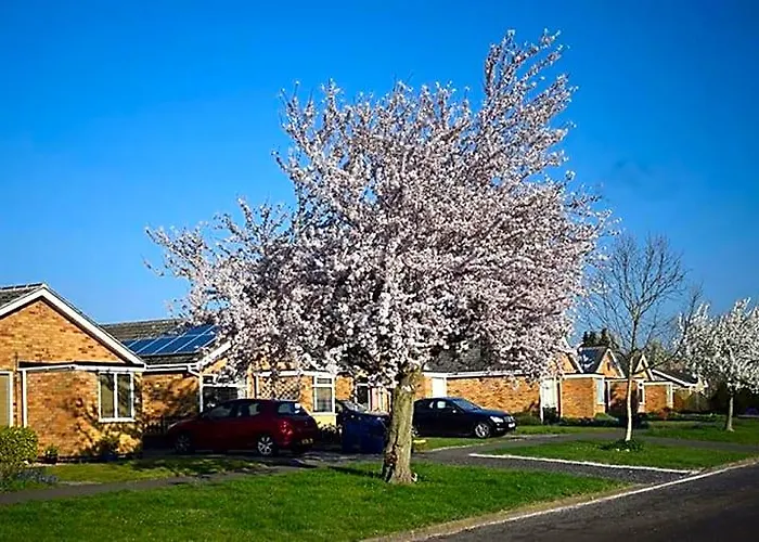 Wings
